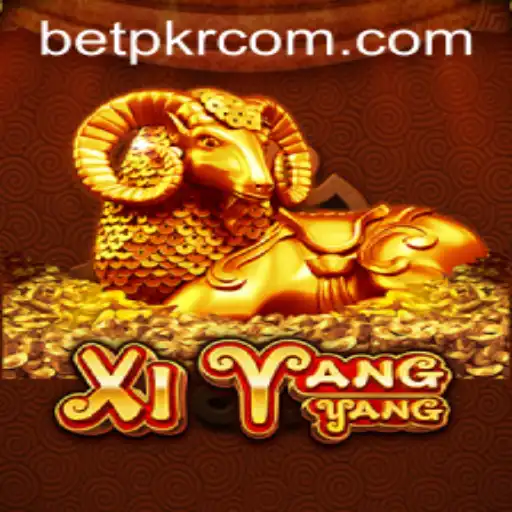 betpkr Casino App